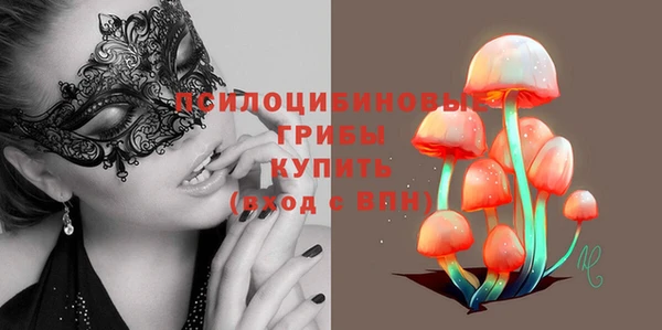 ГАЛЛЮЦИНОГЕННЫЕ ГРИБЫ Аркадак