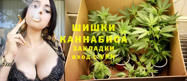 ГАЛЛЮЦИНОГЕННЫЕ ГРИБЫ Аркадак