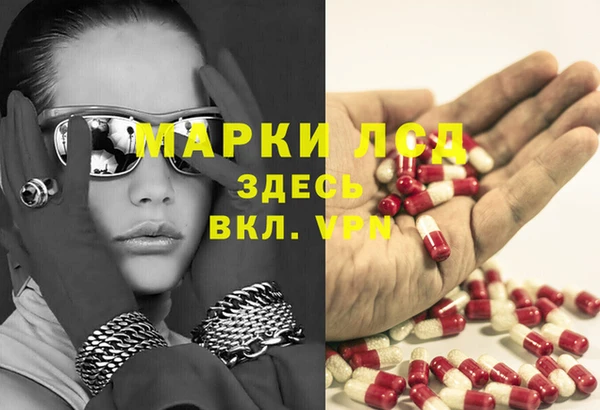 ГАЛЛЮЦИНОГЕННЫЕ ГРИБЫ Аркадак