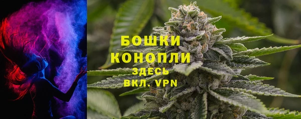 ГАЛЛЮЦИНОГЕННЫЕ ГРИБЫ Аркадак