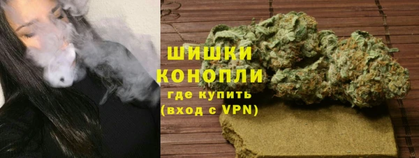ГАЛЛЮЦИНОГЕННЫЕ ГРИБЫ Аркадак