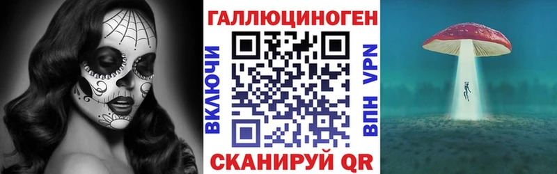 закладка  Весьегонск  Псилоцибиновые грибы мицелий 